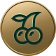 casino icon