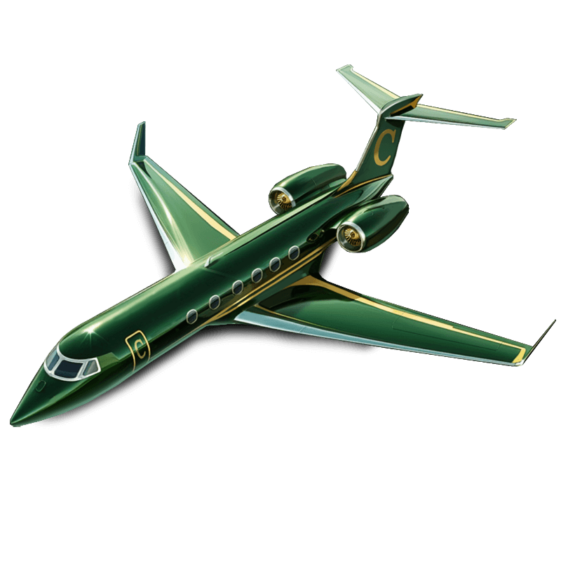 Collection 6 (card 8)